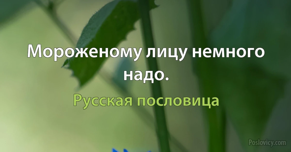 Мороженому лицу немного надо. (Русская пословица)