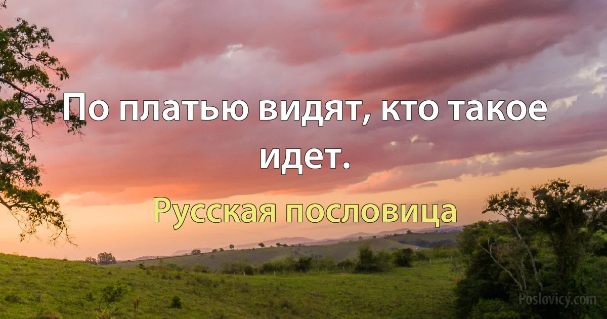 По платью видят, кто такое идет. (Русская пословица)