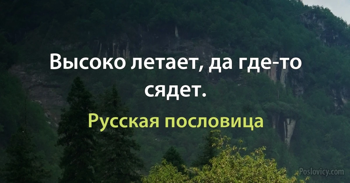 Высоко летает, да где-то сядет. (Русская пословица)