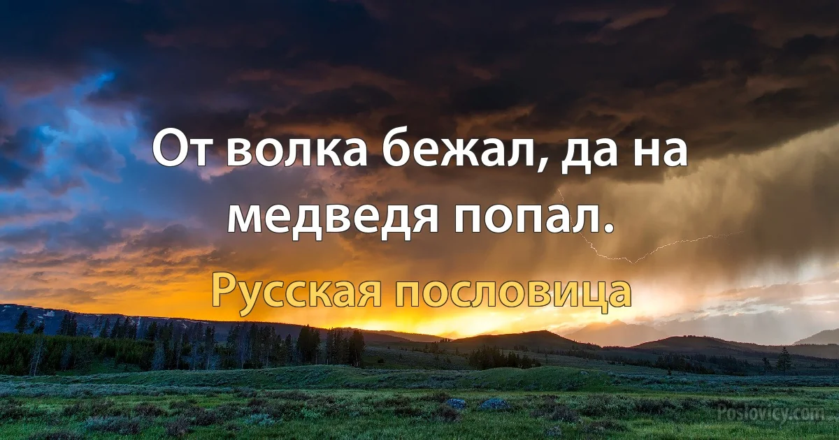 От волка бежал, да на медведя попал. (Русская пословица)