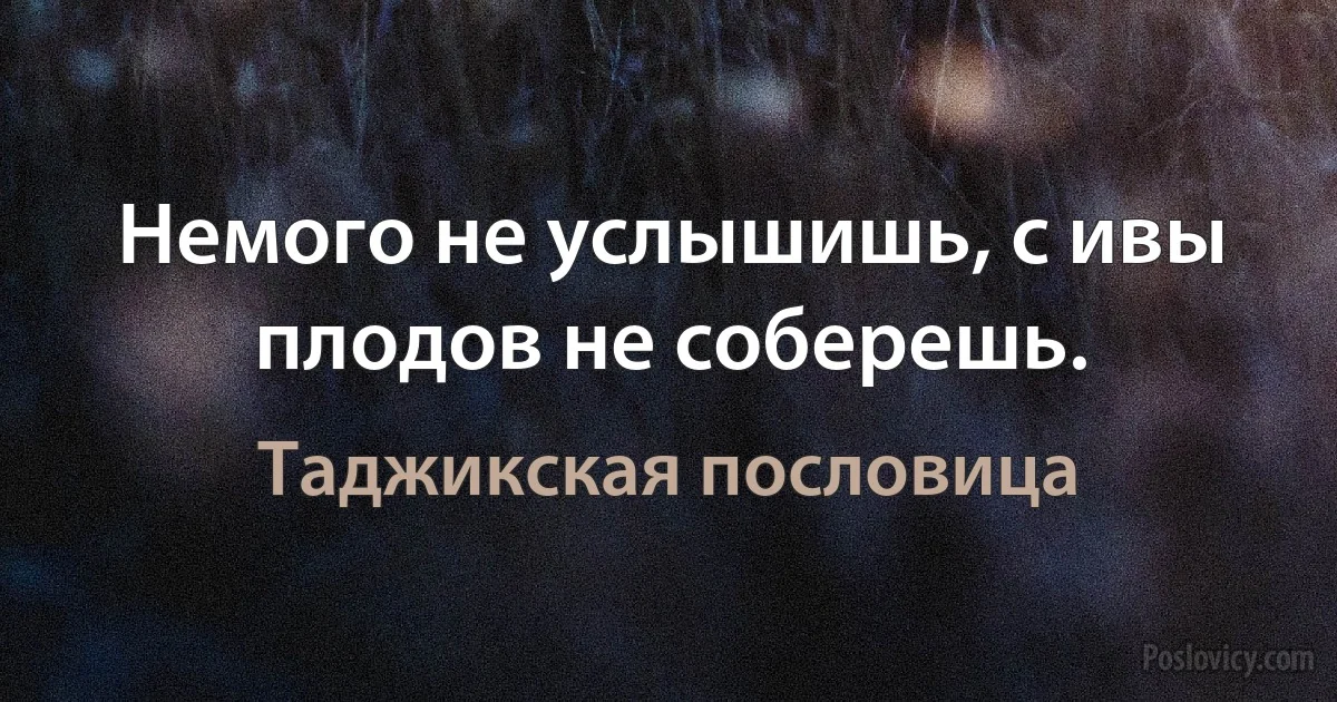 Немого не услышишь, с ивы плодов не соберешь. (Таджикская пословица)