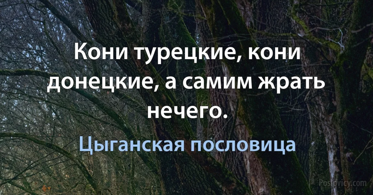 Кони турецкие, кони донецкие, а самим жрать нечего. (Цыганская пословица)