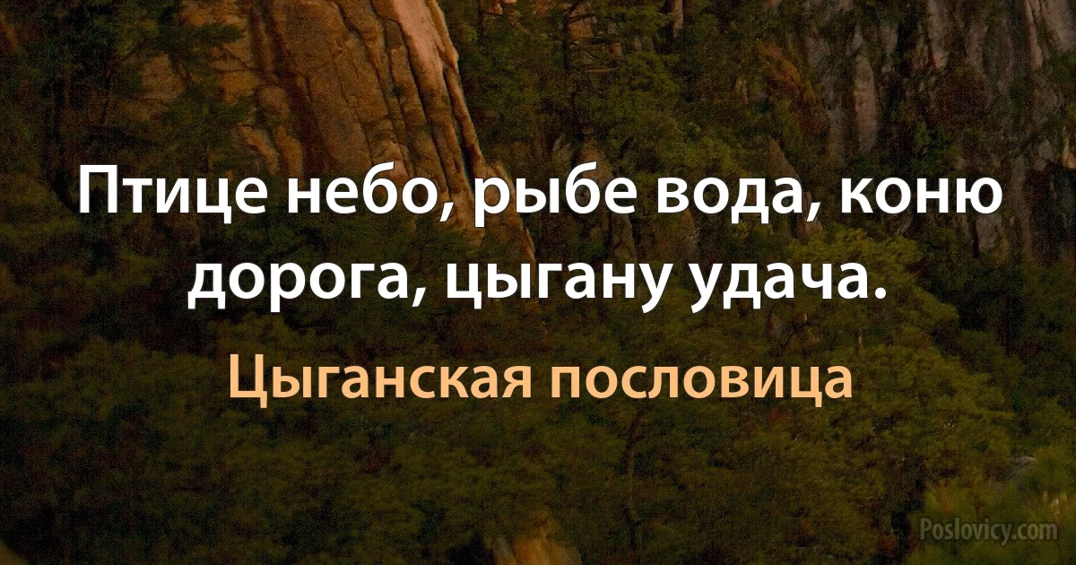 Птице небо, рыбе вода, коню дорога, цыгану удача. (Цыганская пословица)