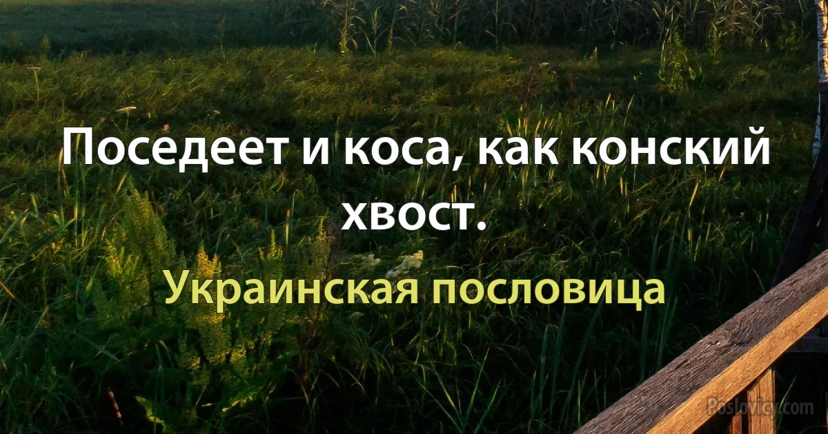 Поседеет и коса, как конский хвост. (Украинская пословица)