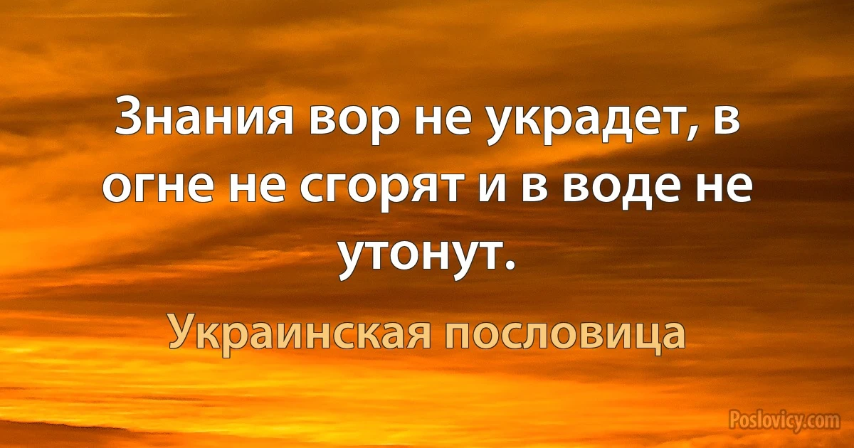 Знания вор не украдет, в огне не сгорят и в воде не утонут. (Украинская пословица)