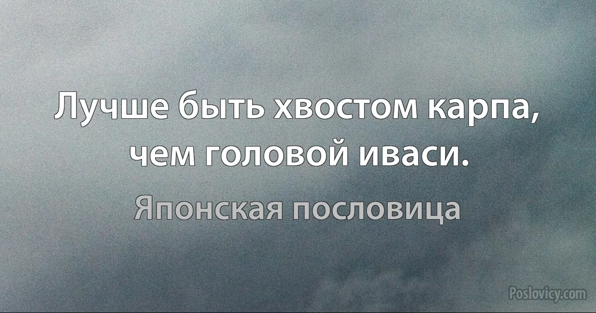 Лучше быть хвостом карпа, чем головой иваси. (Японская пословица)