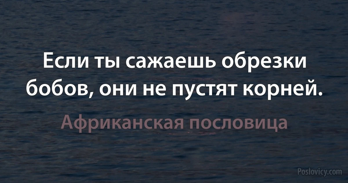 Если ты сажаешь обрезки бобов, они не пустят корней. (Африканская пословица)