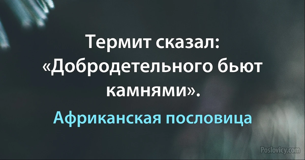 Термит сказал: «Добродетельного бьют камнями». (Африканская пословица)