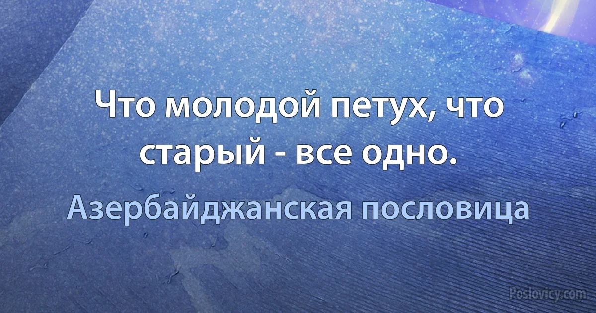 Что молодой петух, что старый - все одно. (Азербайджанская пословица)