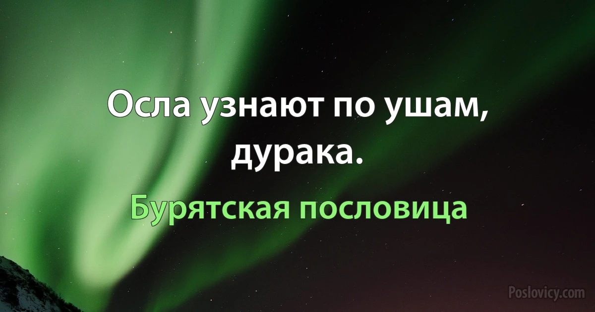 Осла узнают по ушам, дурака. (Бурятская пословица)