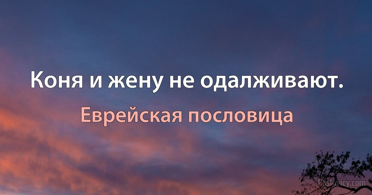 Коня и жену не одалживают. (Еврейская пословица)