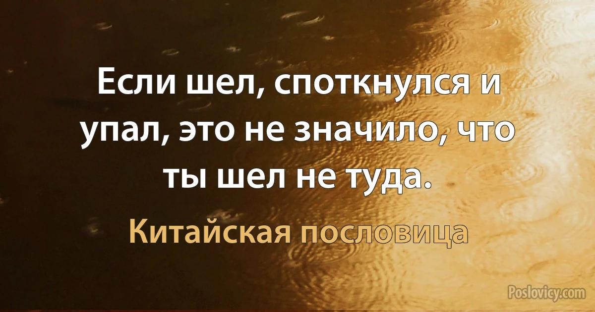 Если шел, споткнулся и упал, это не значило, что ты шел не туда. (Китайская пословица)