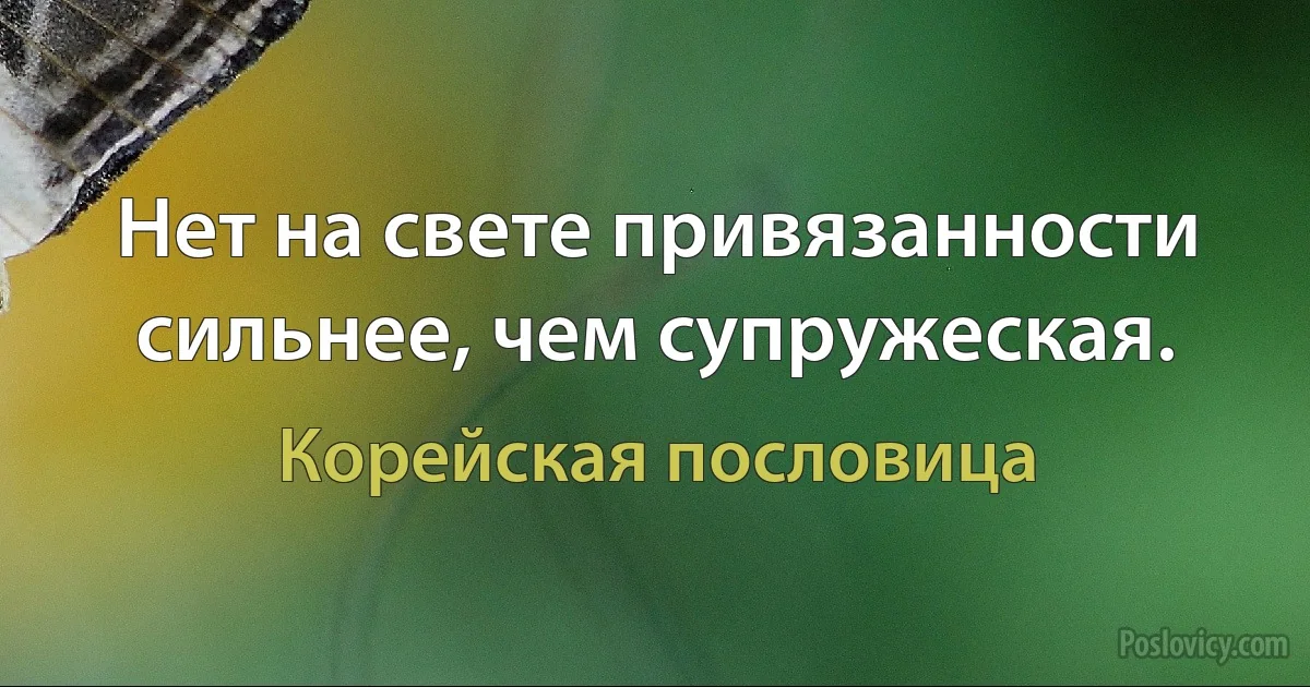 Нет на свете привязанности сильнее, чем супружеская. (Корейская пословица)