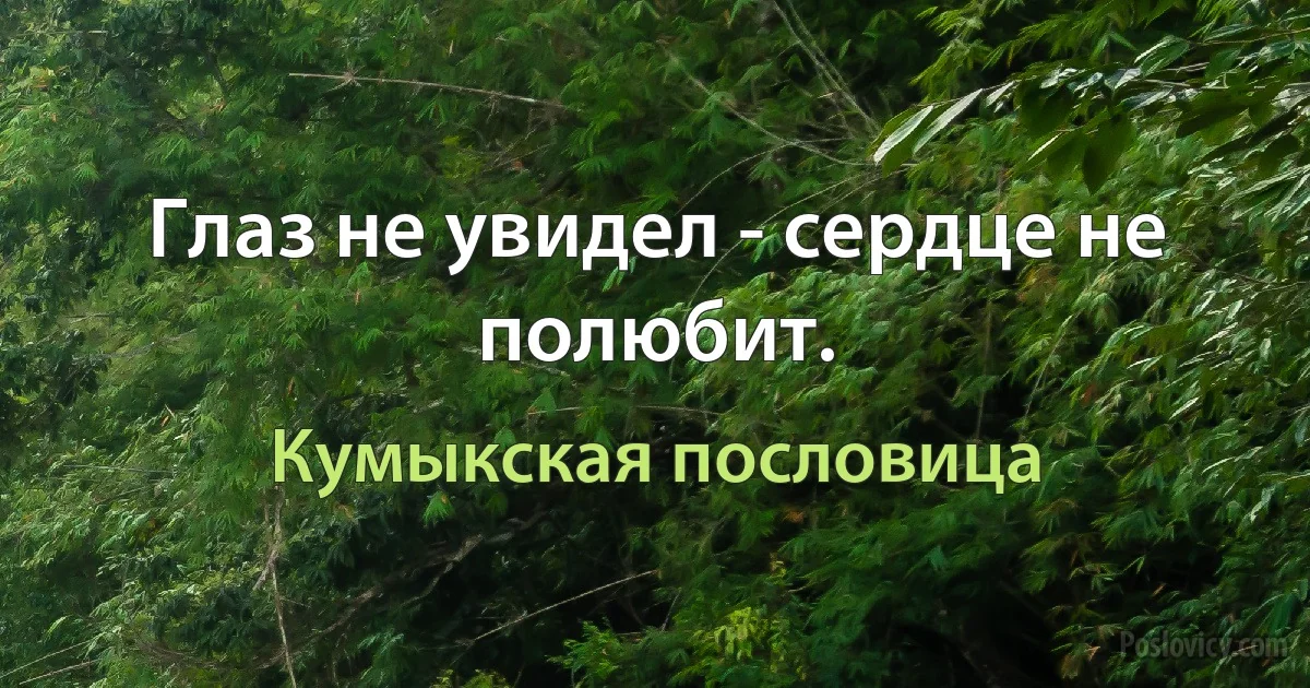 Глаз не увидел - сердце не полюбит. (Кумыкская пословица)