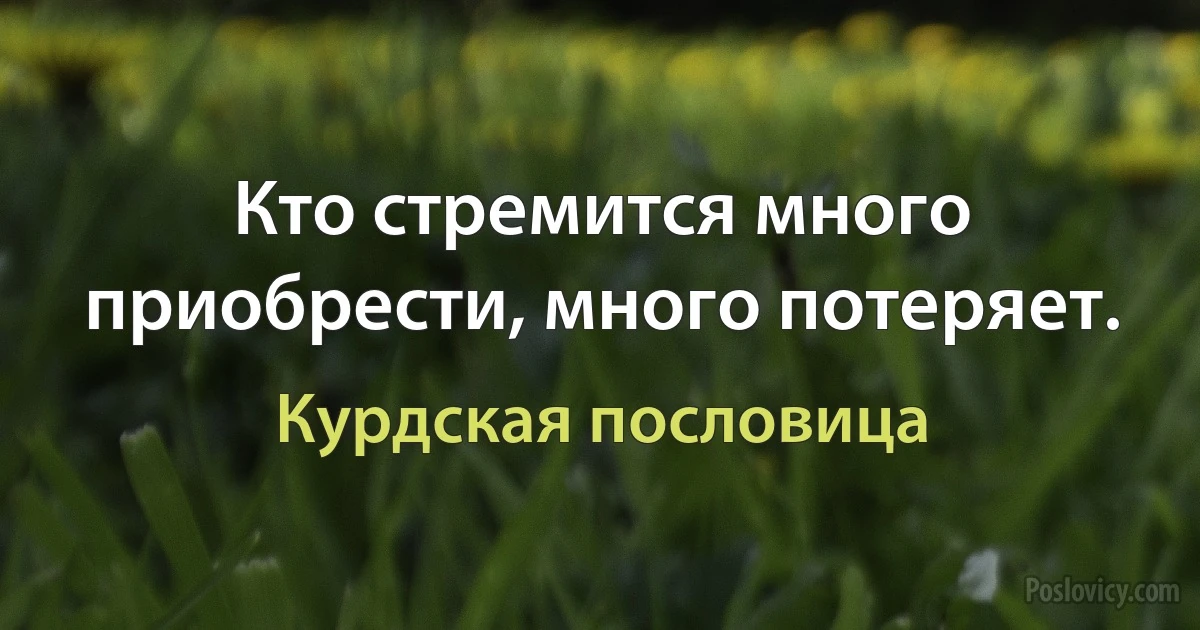 Кто стремится много приобрести, много потеряет. (Курдская пословица)