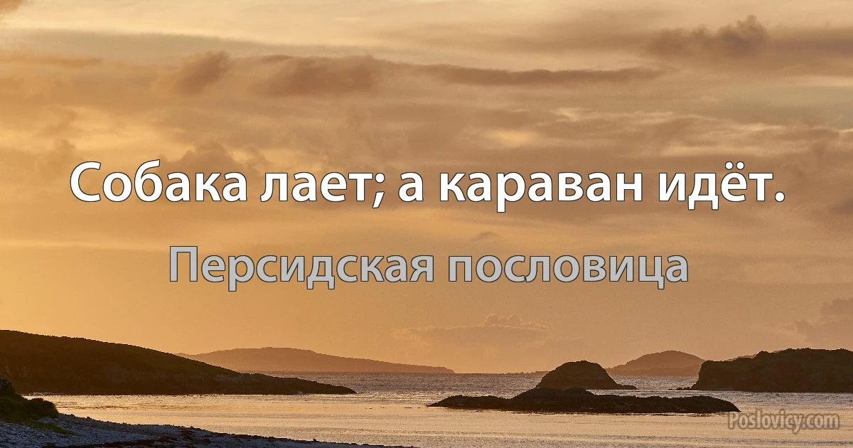 Собака лает; а караван идёт. (Персидская пословица)