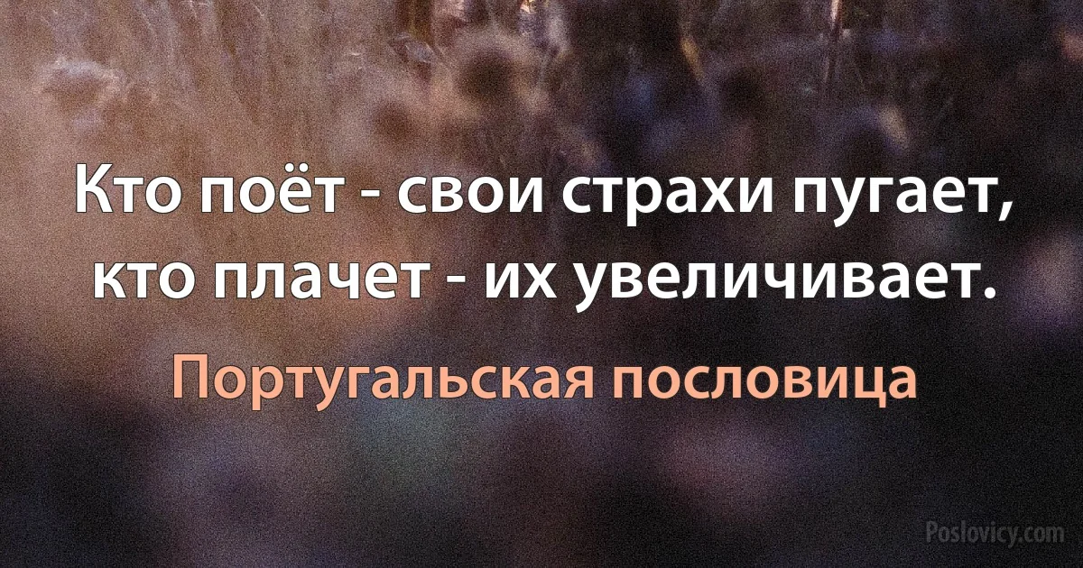 Кто поёт - свои страхи пугает, кто плачет - их увеличивает. (Португальская пословица)