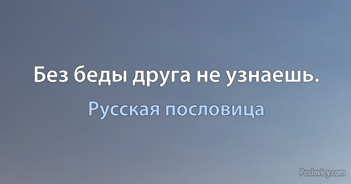 Без беды друга не узнаешь. (Русская пословица)