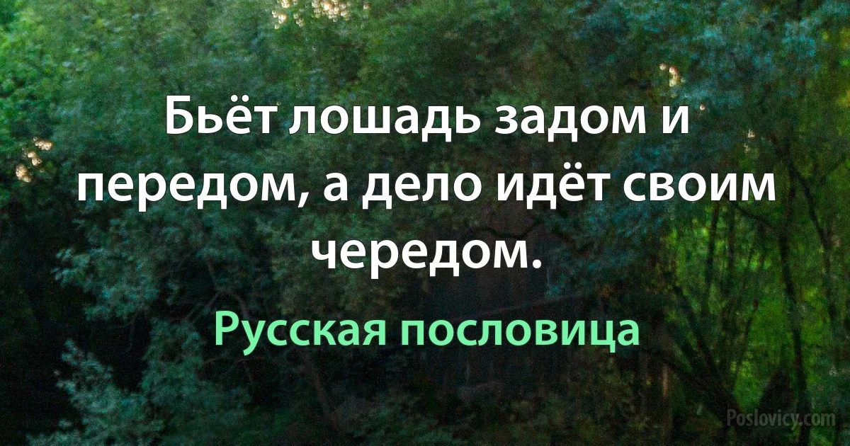 Бьёт лошадь задом и передом, а дело идёт своим чередом. (Русская пословица)