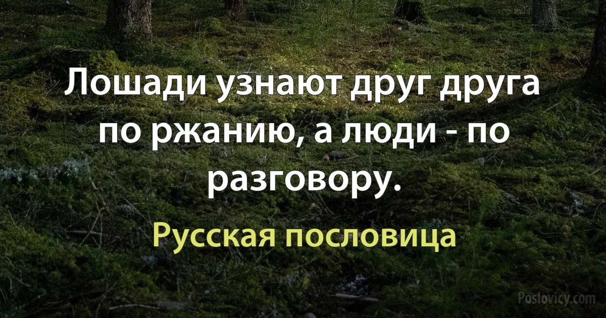 Лошади узнают друг друга по ржанию, а люди - по разговору. (Русская пословица)