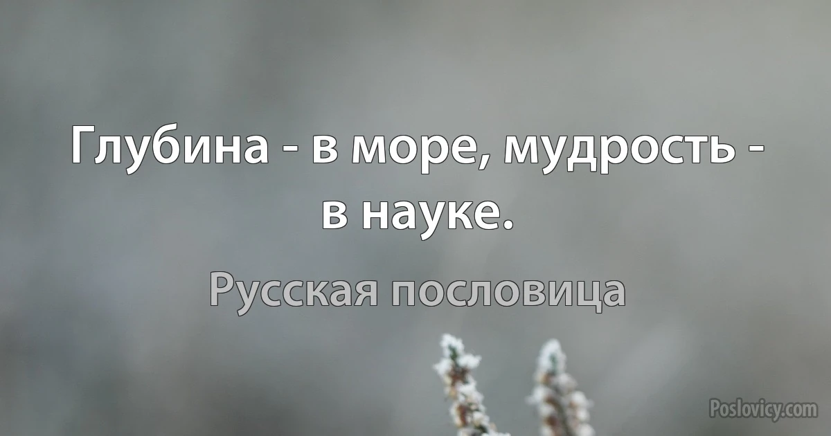 Глубина - в море, мудрость - в науке. (Русская пословица)