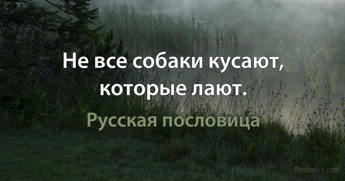 Не все собаки кусают, которые лают. (Русская пословица)