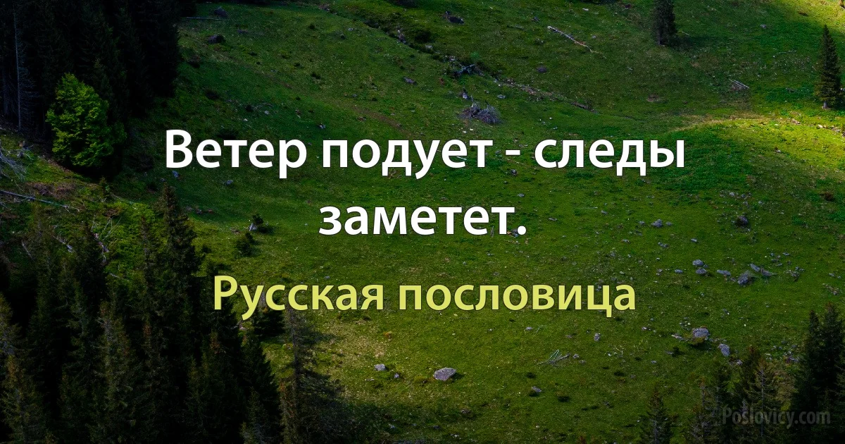 Ветер подует - следы заметет. (Русская пословица)