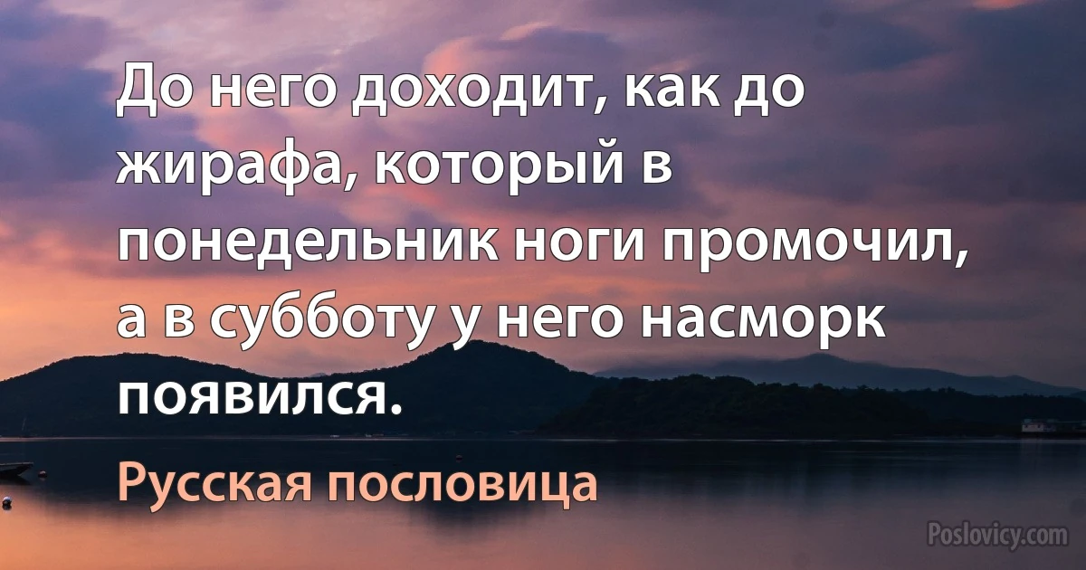 До него доходит, как до жирафа, который в понедельник ноги промочил, а в субботу у него насморк появился. (Русская пословица)