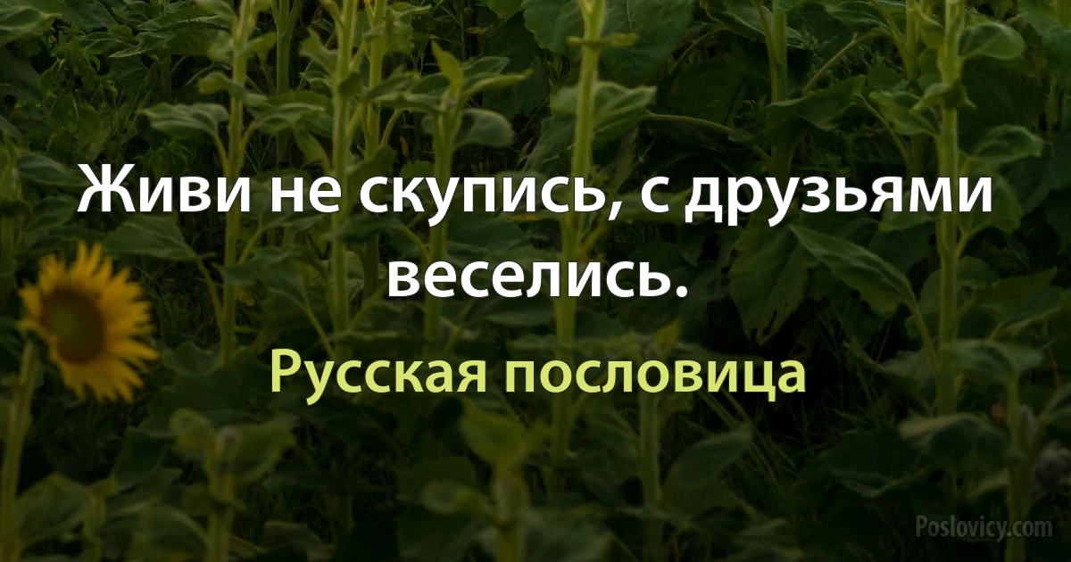 Живи не скупись, с друзьями веселись. (Русская пословица)