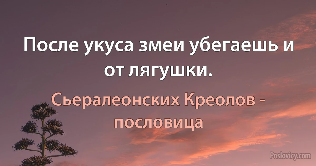 После укуса змеи убегаешь и от лягушки. (Сьералеонских Креолов - пословица)