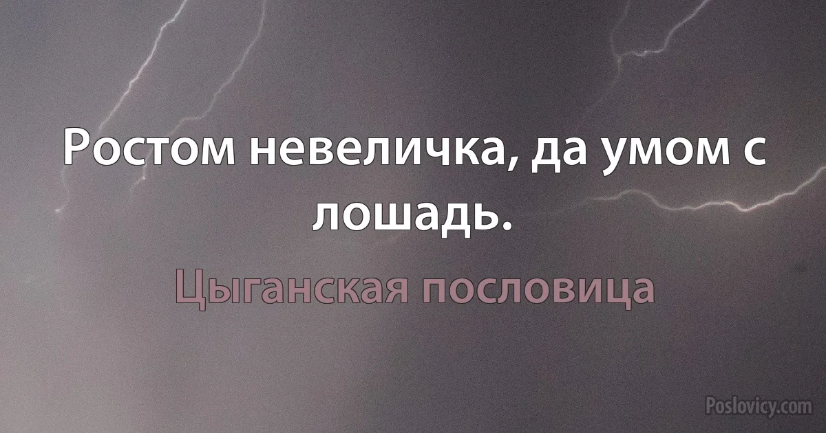 Ростом невеличка, да умом с лошадь. (Цыганская пословица)