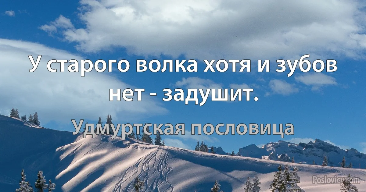 У старого волка хотя и зубов нет - задушит. (Удмуртская пословица)