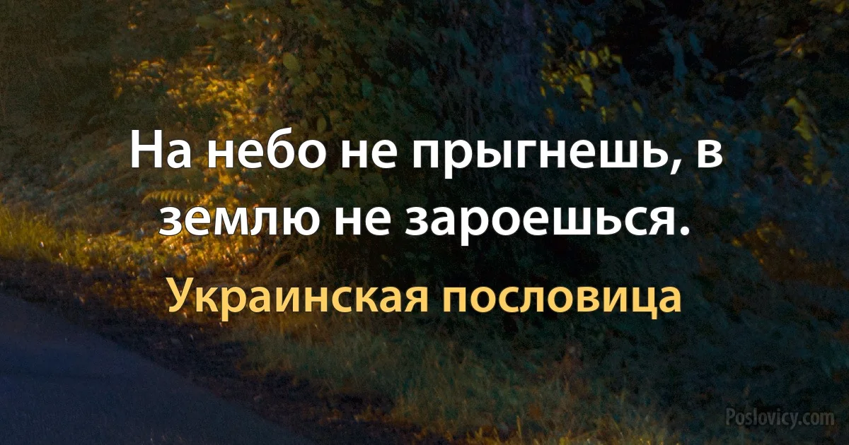 На небо не прыгнешь, в землю не зароешься. (Украинская пословица)