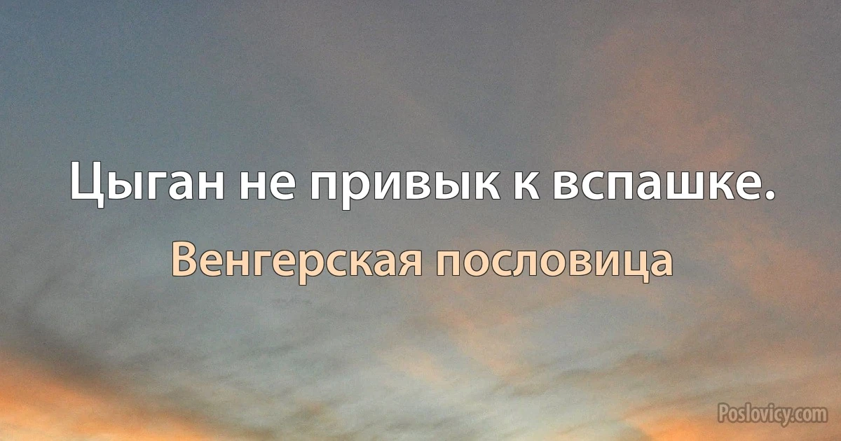 Цыган не привык к вспашке. (Венгерская пословица)