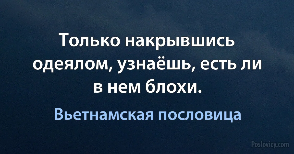 Только накрывшись одеялом, узнаёшь, есть ли в нем блохи. (Вьетнамская пословица)