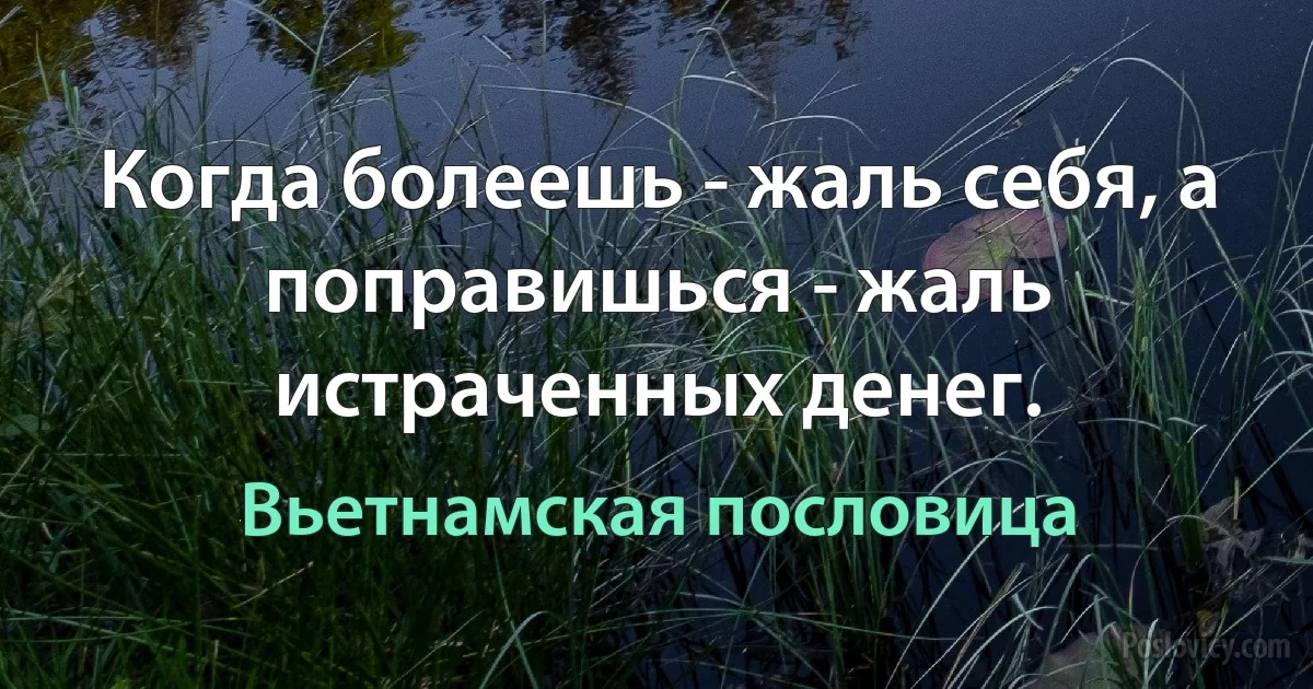 Когда болеешь - жаль себя, а поправишься - жаль истраченных денег. (Вьетнамская пословица)