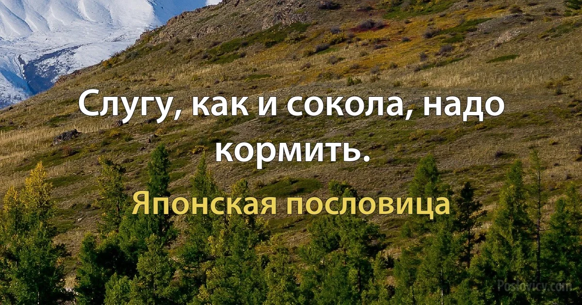 Слугу, как и сокола, надо кормить. (Японская пословица)