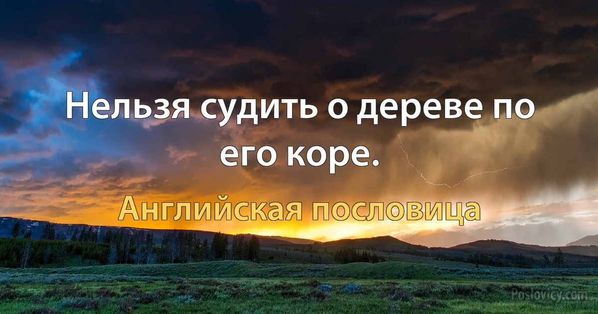 Нельзя судить о дереве по его коре. (Английская пословица)