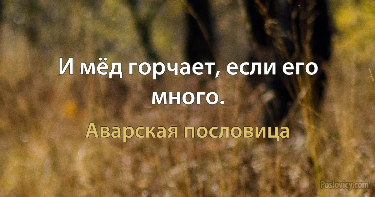 И мёд горчает, если его много. (Аварская пословица)