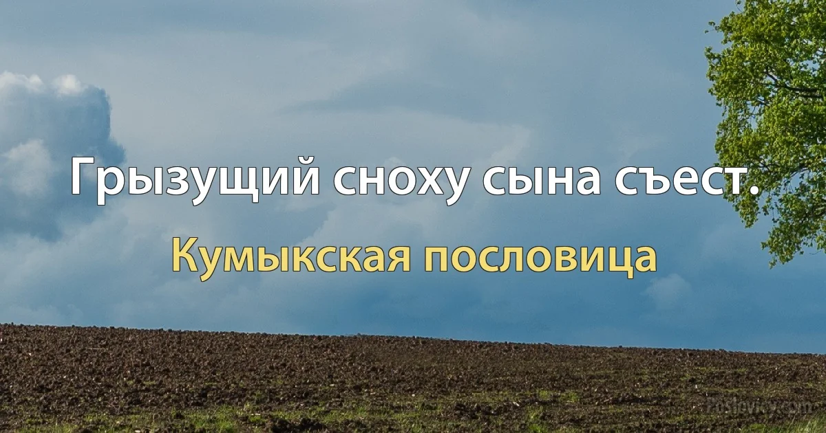 Грызущий сноху сына съест. (Кумыкская пословица)