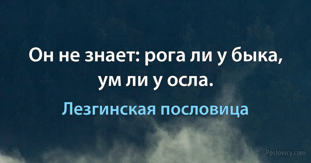 Он не знает: рога ли у быка, ум ли у осла. (Лезгинская пословица)