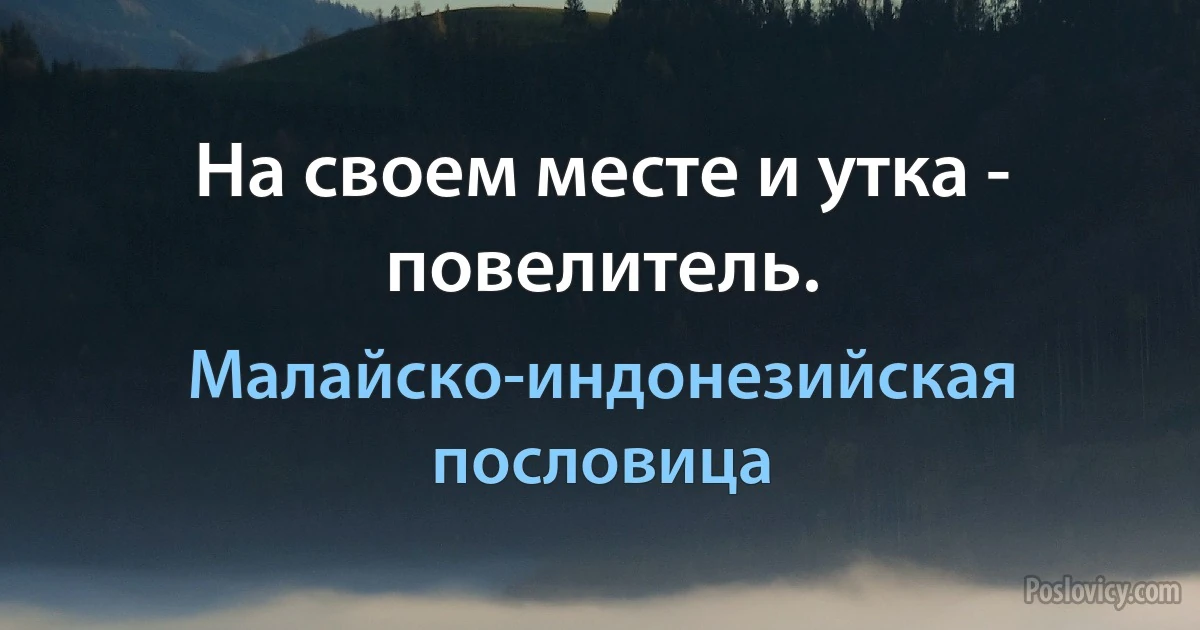 На своем месте и утка - повелитель. (Малайско-индонезийская пословица)