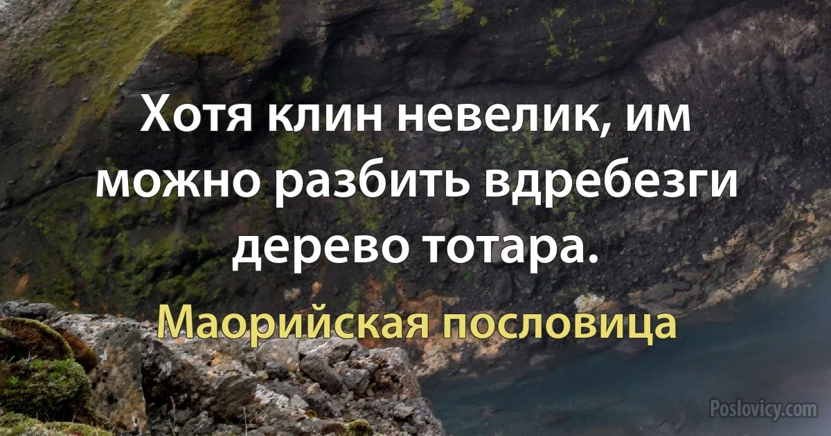 Хотя клин невелик, им можно разбить вдребезги дерево тотара. (Маорийская пословица)