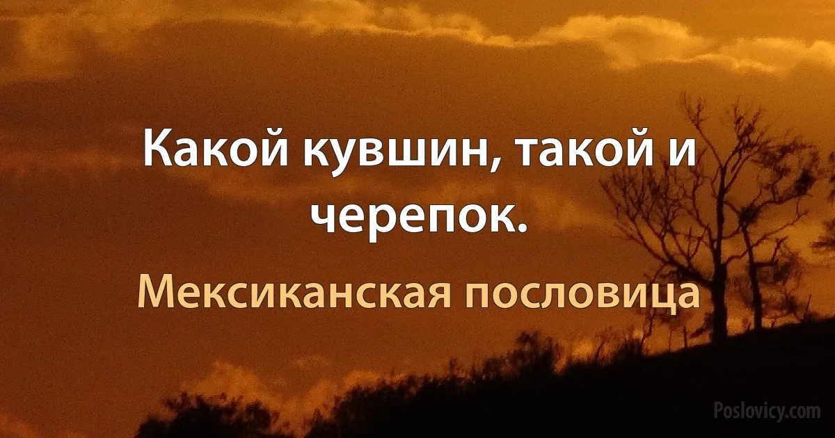 Какой кувшин, такой и черепок. (Мексиканская пословица)