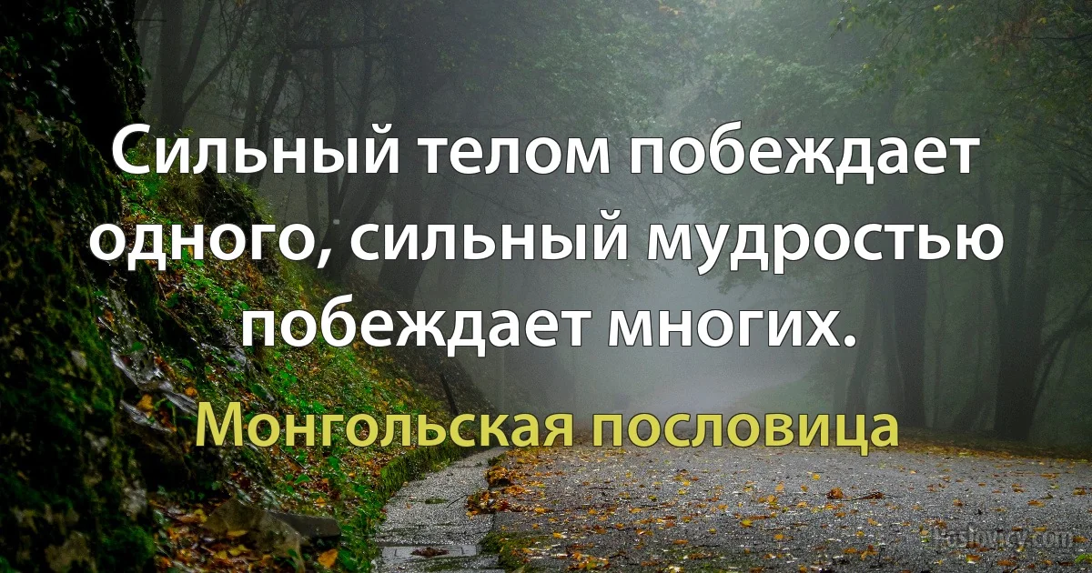 Сильный телом побеждает одного, сильный мудростью побеждает многих. (Монгольская пословица)