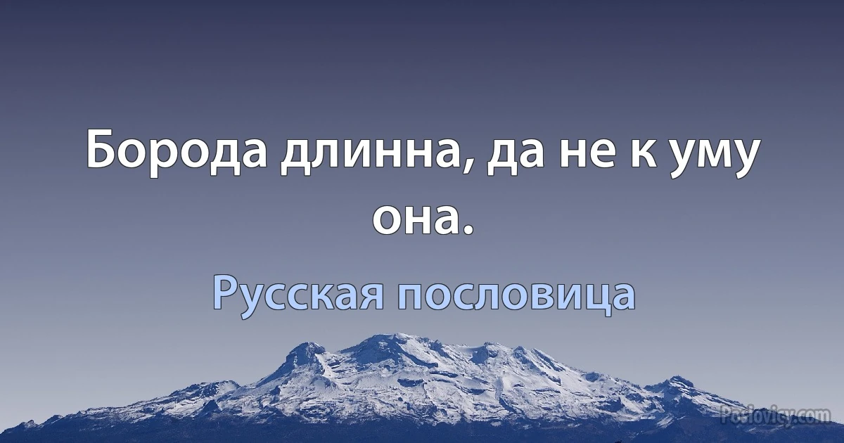 Борода длинна, да не к уму она. (Русская пословица)