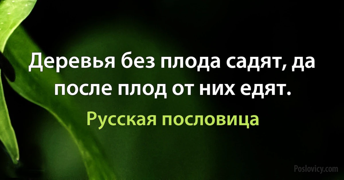 Деревья без плода садят, да после плод от них едят. (Русская пословица)