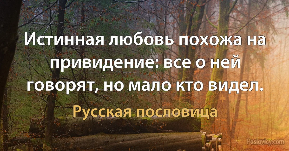 Истинная любовь похожа на привидение: все о ней говорят, но мало кто видел. (Русская пословица)