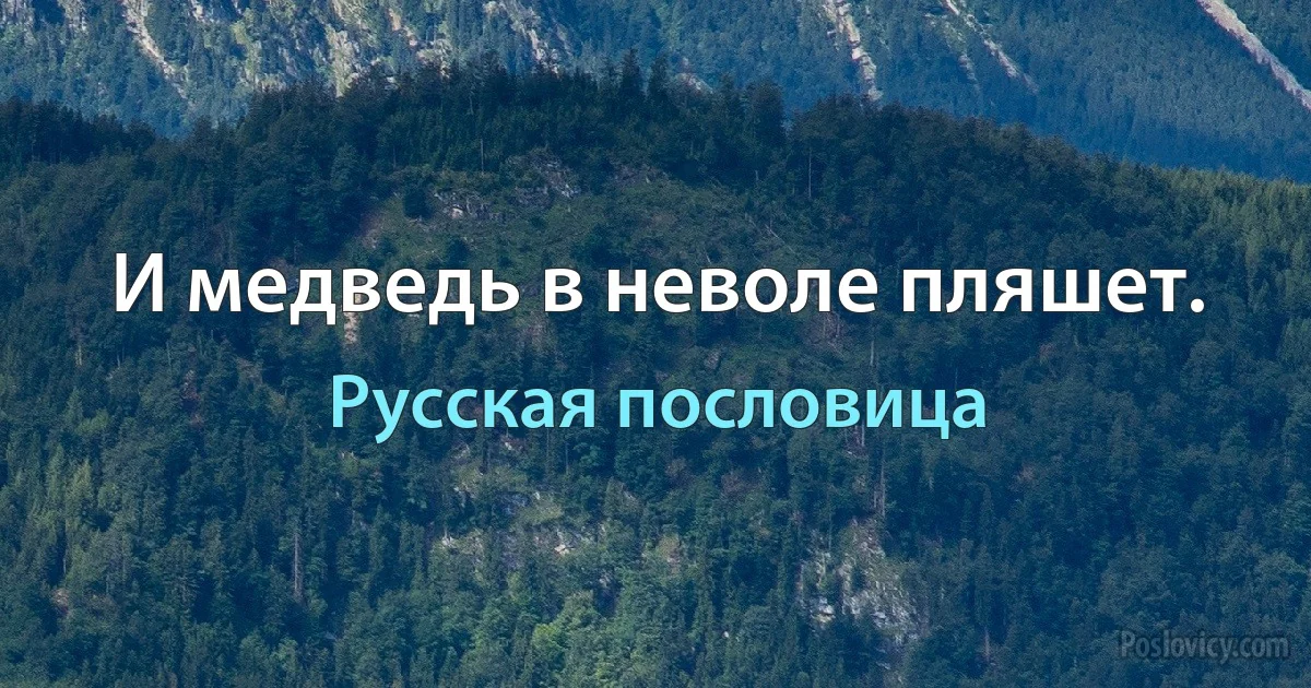 И медведь в неволе пляшет. (Русская пословица)