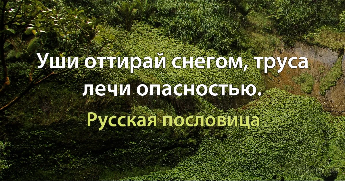 Уши оттирай снегом, труса лечи опасностью. (Русская пословица)